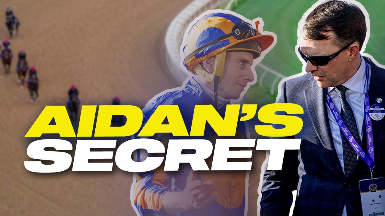 Что на самом деле происходит в Баллидойле? | Кубок заводчиков 2025 в Дель Мар