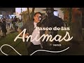 Paseo de las Animas - ComuniChaac