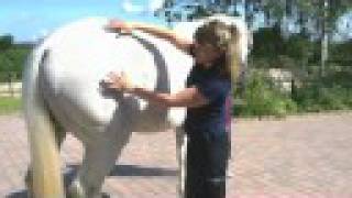 Elizabeth Whiter - The Animal Healer's story