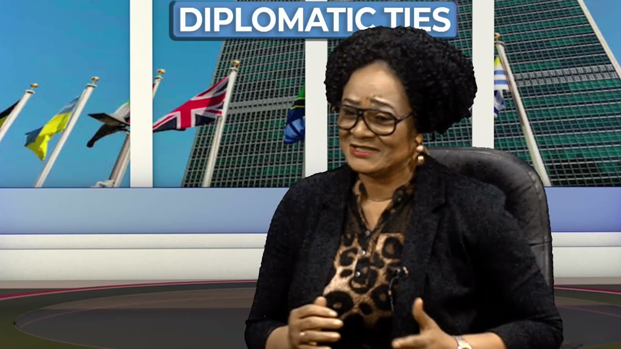 Hight Commissioner's Interview with NTA