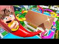 We Built a WATERPARK In Whos Your Daddy