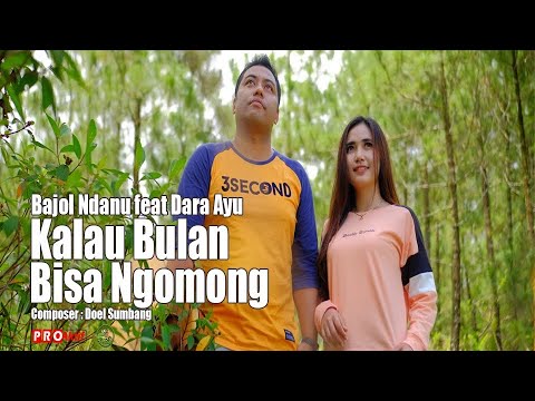 Video: Bilakah berus cat India mekar?