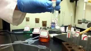 Addition of NH4OH to NiCl2
