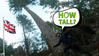 Climbing the Tallest tree in Great Britain! (Solo)