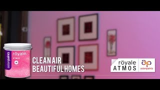 Indoor Air Pollution and a Paint that fights it.
