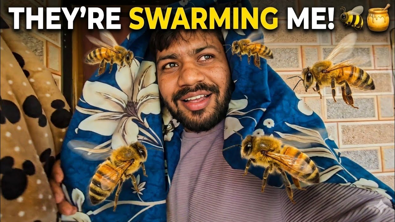 Madhumakkhi Ne Hamala Kar Diya 🥲