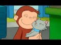 George O Curioso 🐵 Mamãe Gata  🐵Episódio Completo 🐵O Macaco🐵Desenhos Animados