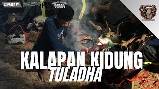 Download lagu DJ BANTENGAN | KALAPAN KIDUNG TULADHA | JINGGLE LEMBU PUTRA GINGSENG | REMIXER BY CAKIL PROJECT