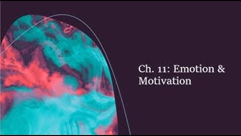 Ch 11 Emotion and Motivation