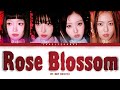 H1key   rose blossom     lyrics color coded hanromeng