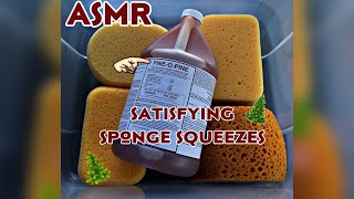 ASMR Pine O Pine~ Satisfying Sponge Squeezes~Sudsy Rinsing~Mood Aid 🧽