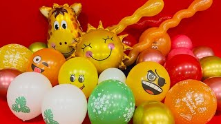 FUN HAPPY BIRTHDAY BALLOON POPPING #sounds #popping #subscribe #like #balloons #satisfying