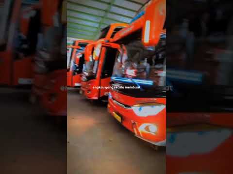 Bus Pariwisata Cianjur: Menggali Potensi Wisata dan Transportasi di Kabupaten Cianjur, Jawa Barat