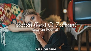 Ceylan Koynat - Neden (Peki O Zaman) ( Halil Yıldırım Remix )