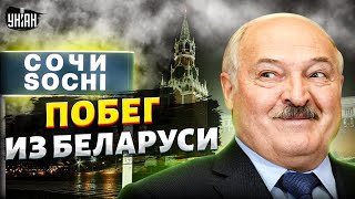 Экстренно! Лукашенко бежит из Беларуси. Минск на ушах: резиденцию перенесли в РФ