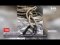 Новини України: у Кривому Розі загинув промисловий альпініст