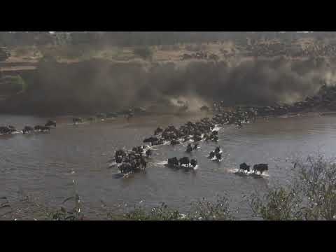 Video: Dai Numeri: Remare Il Fiume Niger - Matador Network