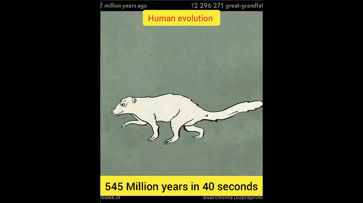Human evolution - DayDayNews
