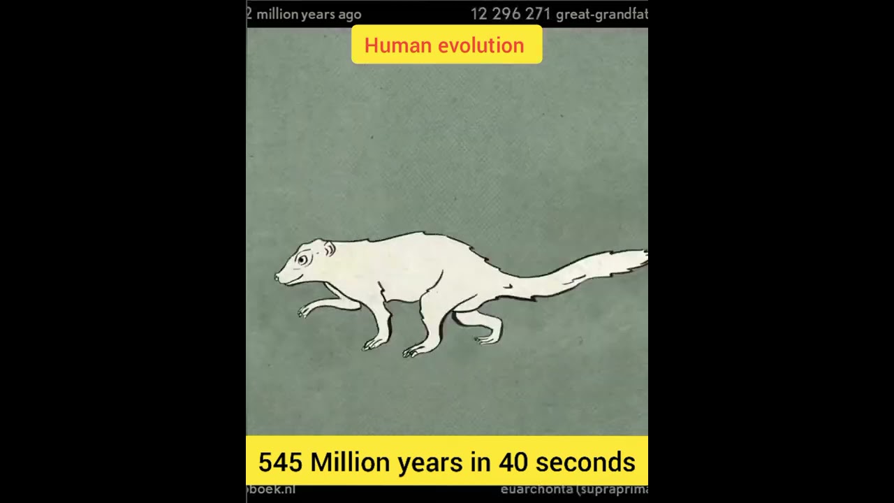 Evolution in Action