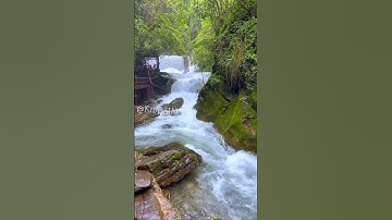 AI Explained in Under a Minute – Future Tech Made Simple