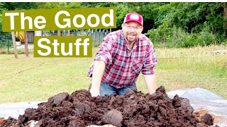 The Best Super Soil for Raised Bed Gardens