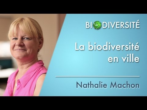 Vidéo: Biodiversité Dans La Ville