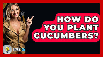 How Do You Plant Cucumbers? - LearnToDIY360.com