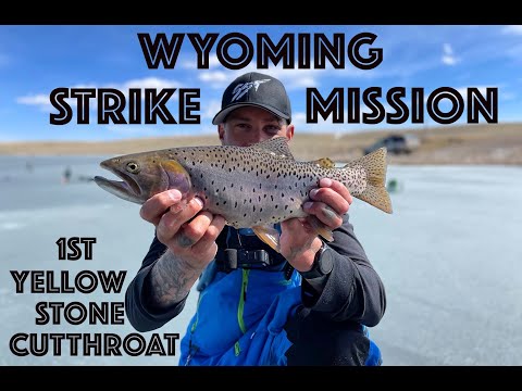 Ice Fishing Wyoming - YELLOWSTONE CUTTHROAT #icefishing #yellowstonecutthroat #wyoming