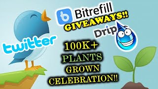 My 100K Dripbusd Plants Grown Twitter Bitrefill 50 Gift Card Giveaway All Other Crypto Gems