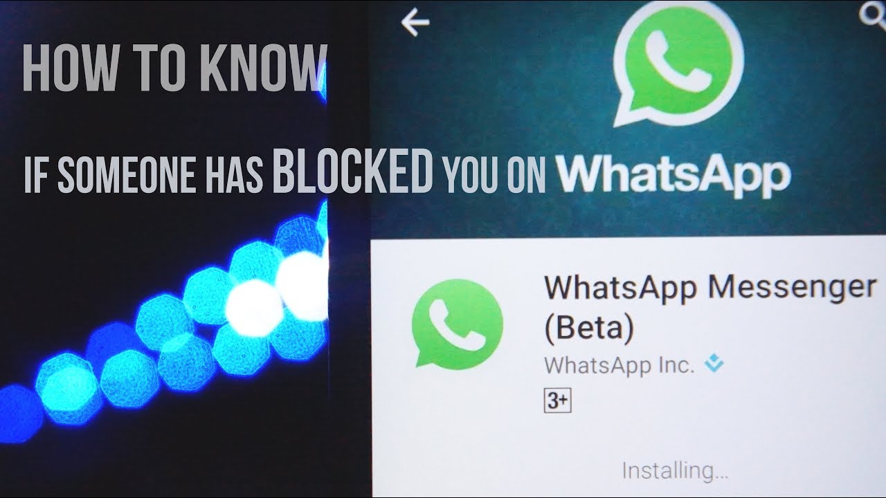 whatsapp check marks blocked whatsapp check marks blocked