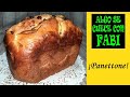 PANETTONE con CHOCOLATE en PANIFICADORA de LIDL (Silvercrest F2). ¡FÁCIL Y SABROSO!