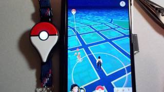 ポケモン自動捕獲装置完成 Part1 ヨピケのゲーム日記