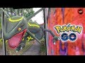 CONSIGO AL SHINY MÁS ESPERADO DE TODOS!! + NUEVOS JEFES DE RAIDS 1428
POKEMON GO