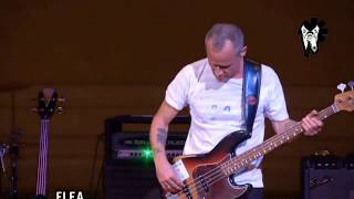 Flea - The Best Solo chords