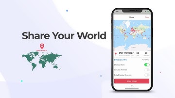 Pin Traveler Preview