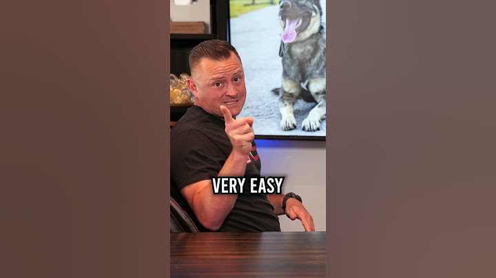 3 najlepsze rasy psów dla rodzin