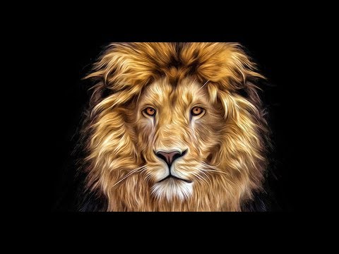 Vídeo: A Americana Encontrou Um Leão Em Sua Sala De Estar E Telepaticamente O Fez Sair - Visão Alternativa