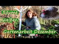 Bäume weißen / Gartenarbeit Dezember