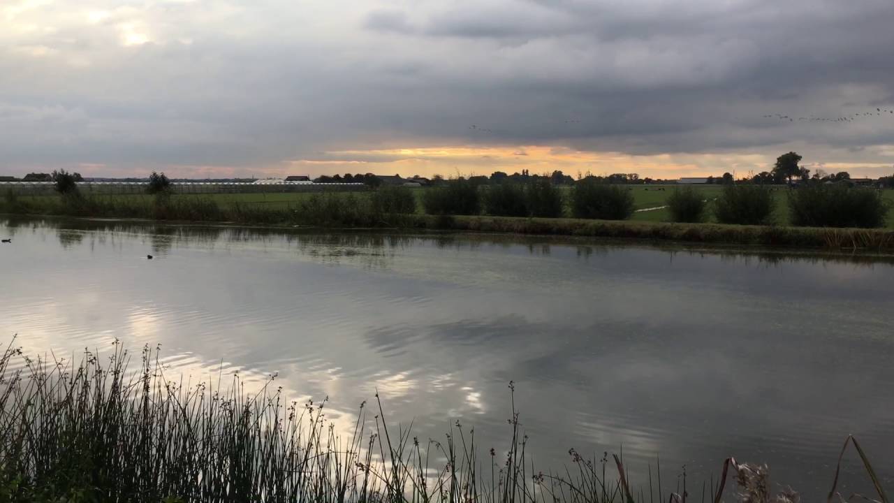 Holland - Midden-Delfland - Vlaardingervaart