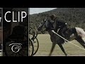 El tulipán negro - Clip 1