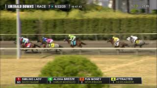 2025 Hastings Stakes