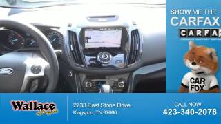 Sports Performance 2013 Ford Escape 5067P - Kingsport TN
