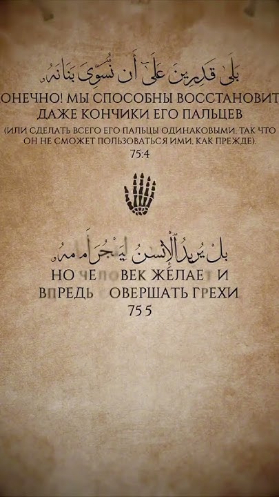 Сура 75 Аль Кийама #сунна #allah1 #koran #quran #muslimin #quran - YouTube