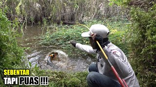 Ganas!!! Jatuhnya umpan mancingku tepat di sarang ikan kelaparan #SG-244