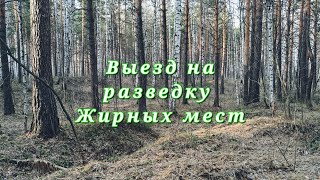 Выезд на разведку жирных мест