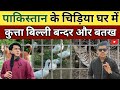 Pakistan  ke chidiya ghar me bandar billi aur battakh   pakistani zoo  indvspak proudindian