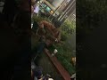花/フジファブリック 光村龍哉cover