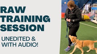 Raw Training Session with Lenny! by Pup to Perfection 63 views 11 months ago 4 minutes, 42 seconds