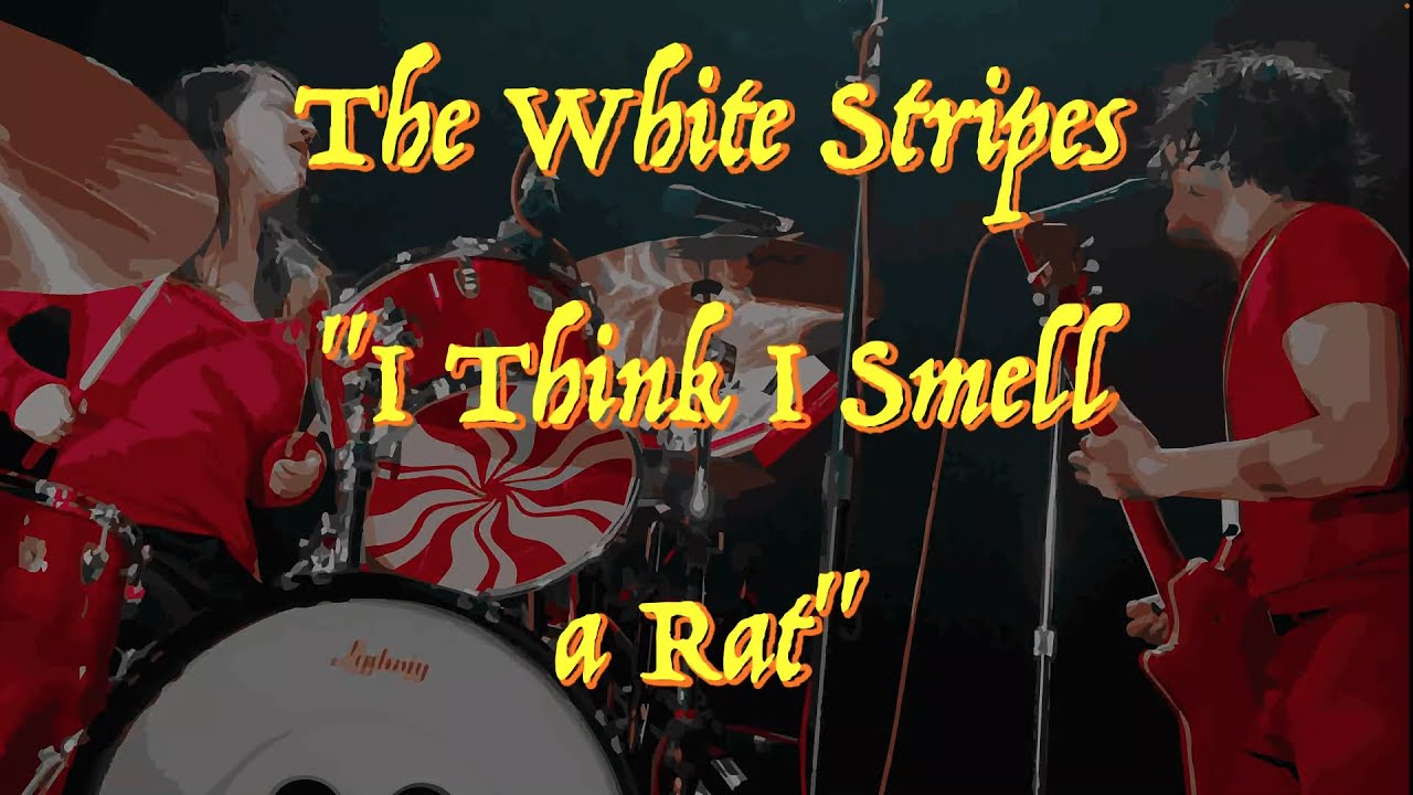 The White Stripes - “I Think I Smell a Rat” - Guitar Tab ♬