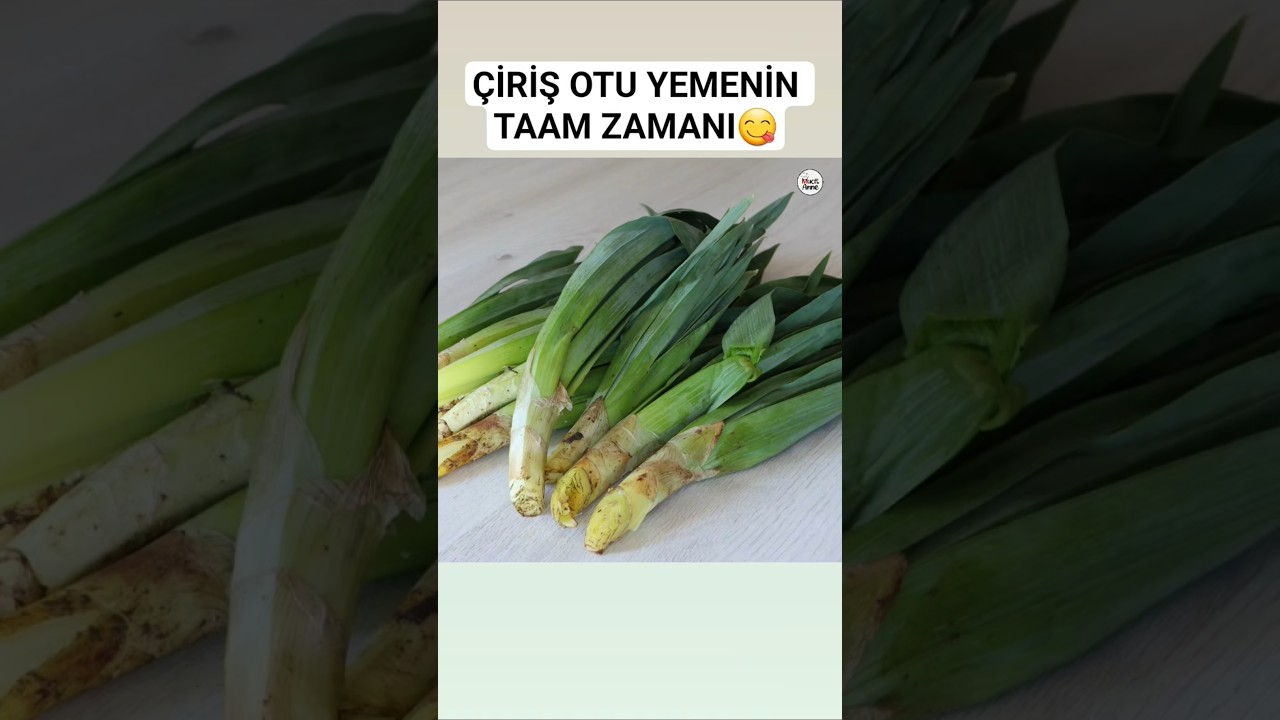 Çiriş pilavı nasıl yapılır? #çirişotu #pilav #yemektarifleri #shortvideo